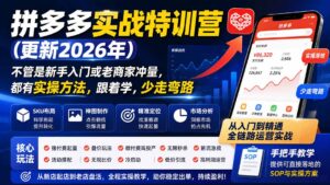 （20092期）拼多多实战特训营(更新26年0827)：不管是新手入门或老商家冲量，都有实操方法，跟着学，少走弯路