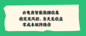 （20197期）云电商智能数据收集，稳定无风控，当天见收益，零成本矩阵操作
